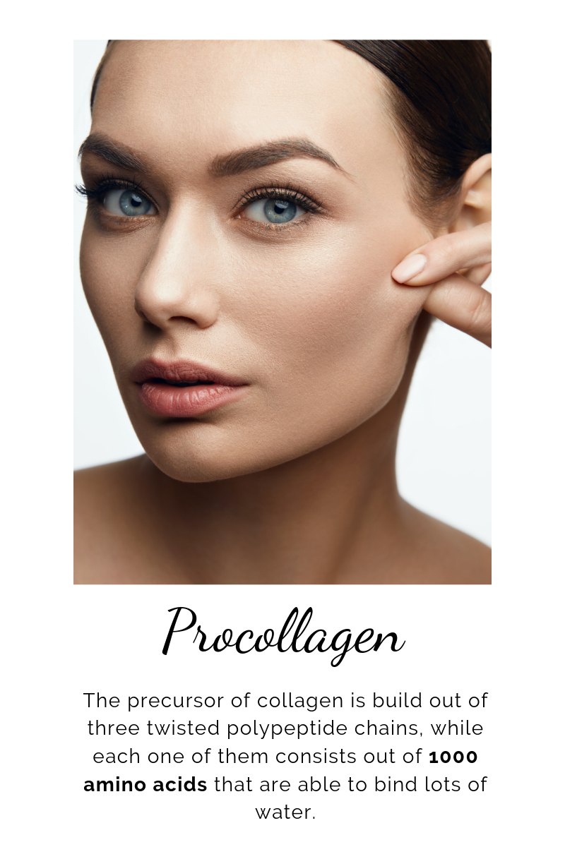 Amino Acids for Beauty Teresa.Style